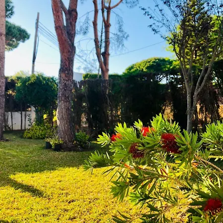 Holiday home Los Laureles Chiclana de la Frontera